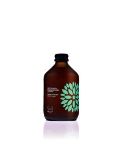 VIGO Kombucha BIO Ogórek+Kolendra 8x0,33l