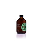 VIGO Kombucha BIO Ogórek+Kolendra 8x0,33l