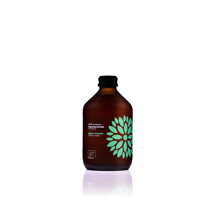 VIGO Kombucha BIO Ogórek+Kolendra 8x0,33l