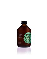 VIGO Kombucha BIO Ogórek+Kolendra 8x0,33l