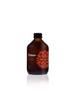 VIGO Kombucha BIO Malina+Rozmaryn 8x0,33l